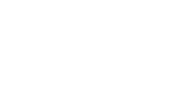 ESTUDI ESPORA*
